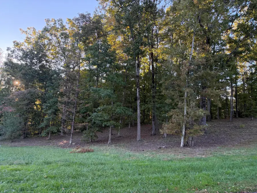 62 Brow Wood Lane, Lookout Mountain, GA 30750 - #2