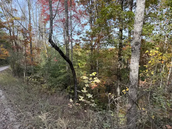 11 Echo Point Road, Dunlap, TN 37327