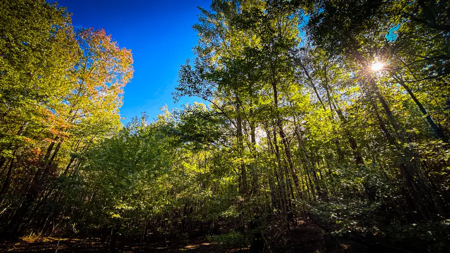 2199 Young Road, Soddy Daisy, TN 37379 - #2