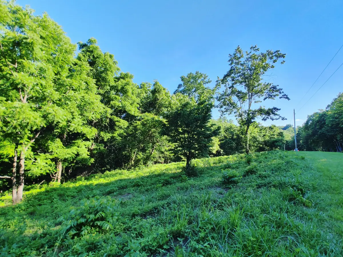 Shanghai Landing Lane, Lafollette, TN 37766 - Image #1