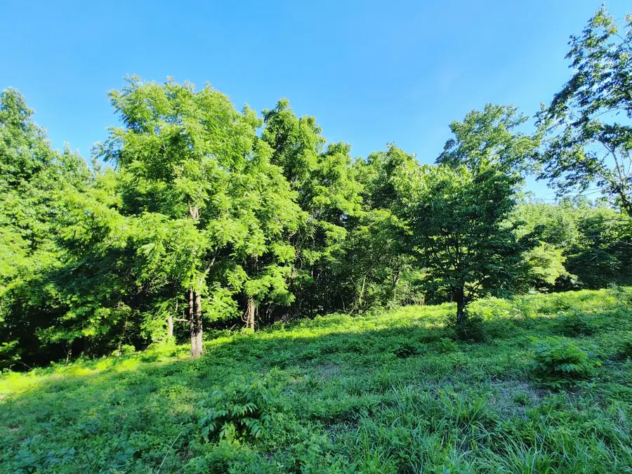 Shanghai Landing Lane, Lafollette, TN 37766 - Image #2