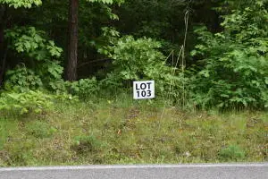 Lot 103 Halfmoon Shores Drive, Ten Mile, TN 37880 - Image #1