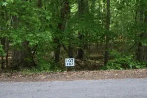 Lot 107 Treasure Tree Rd, Ten Mile, TN 37880 - #1