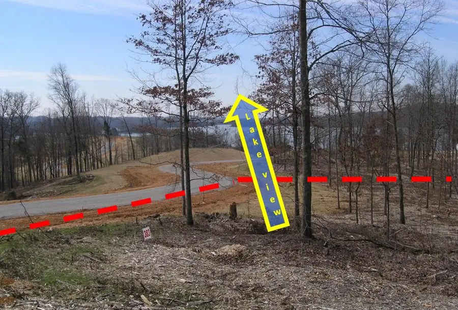 Lot 383 Thief Neck View, Rockwood, TN 37854 - Image #2