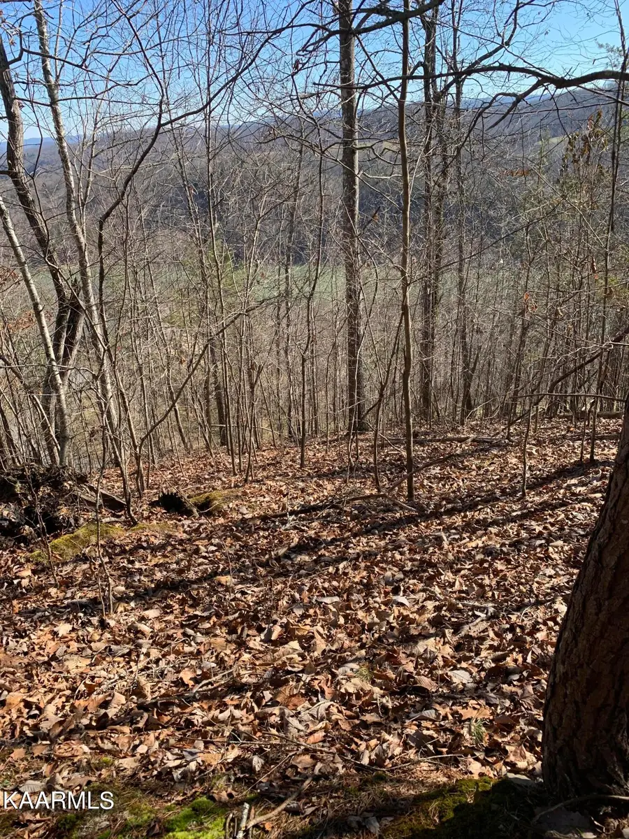 Lot 83 Ridgecrest Rd, New Tazewell, TN 37825 - #2