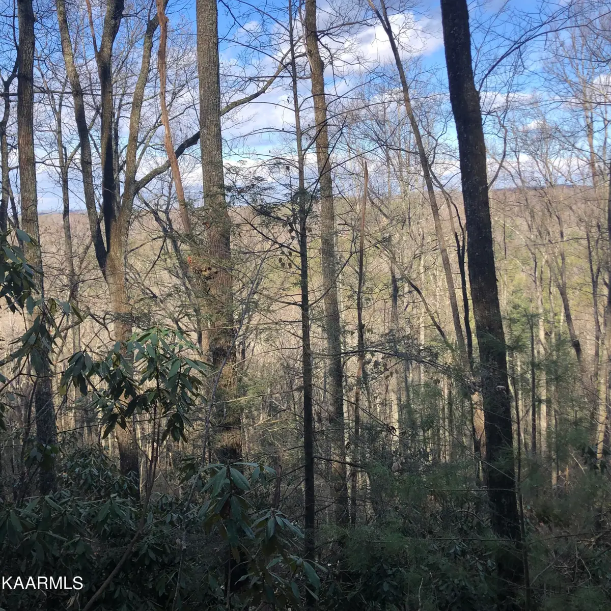 450 Holder Cemetery Rd, Tellico Plains, TN 37385 - #1