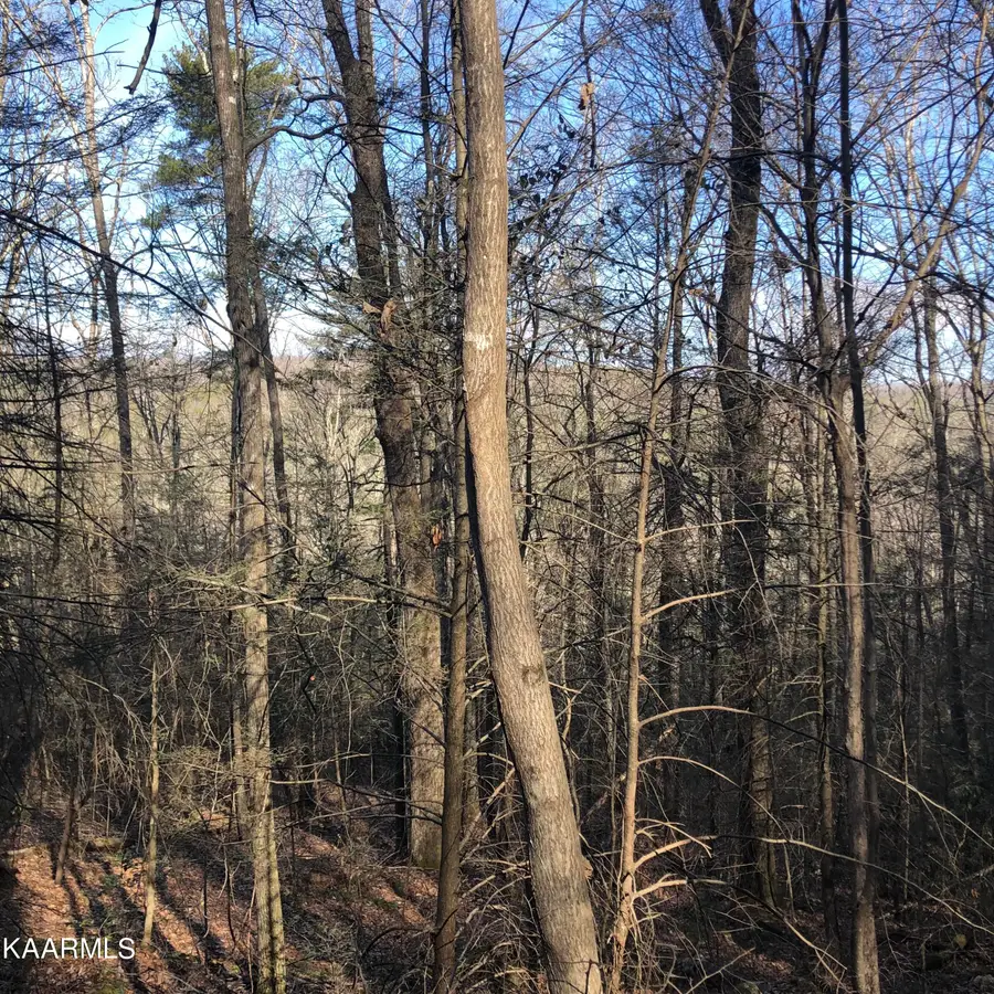 450 Holder Cemetery Rd, Tellico Plains, TN 37385 - #2