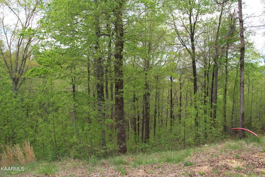 Lot 559 Summer Circle, Lafollette, TN 37766 - Image #2