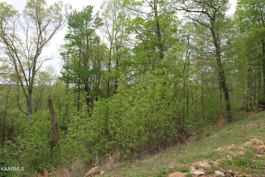 Lot 559 Summer Circle, Lafollette, TN 37766 - Image #3