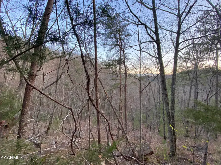 Lot 46 Beechwood St, Sevierville, TN 37876 - #3