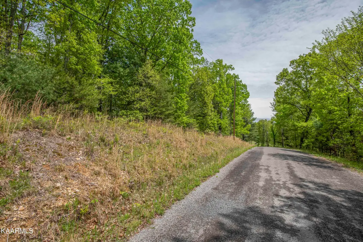 Lot 215 Hickory Drive, Spring City, TN 37381 - Image #1