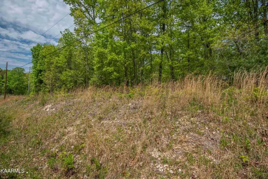 Lot 215 Hickory Drive, Spring City, TN 37381 - Image #2