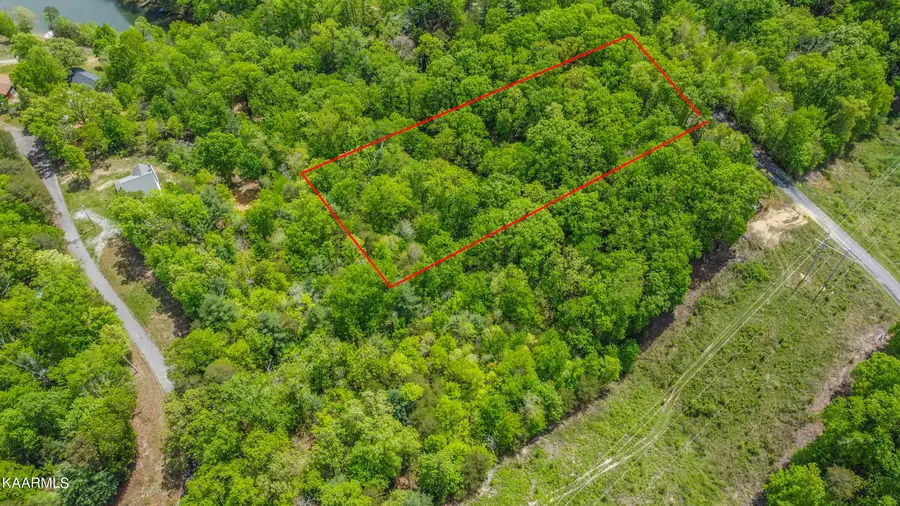 Lot 215 Hickory Drive, Spring City, TN 37381 - Image #3