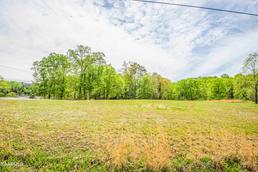 Lot 238 Hickory Drive, Spring City, TN 37381 - Image #3