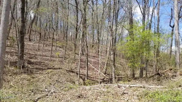 Lot 286 Maple Drive, Spring City, TN 37381