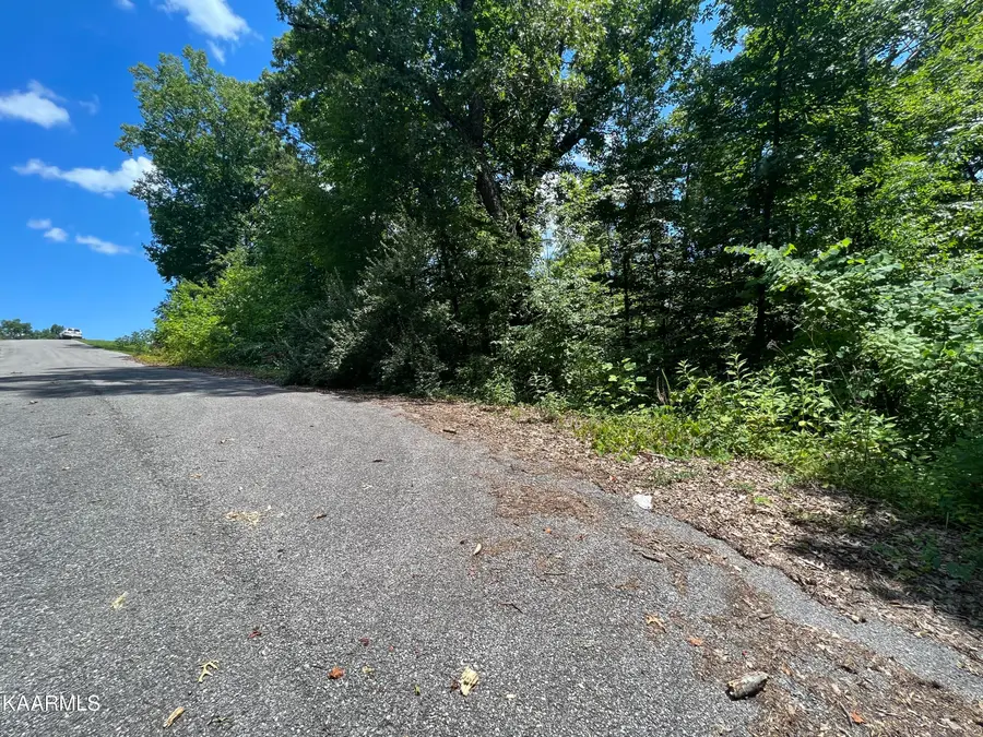 lot 37 Pinnacle Lane, Lafollette, TN 37766 - Image #3