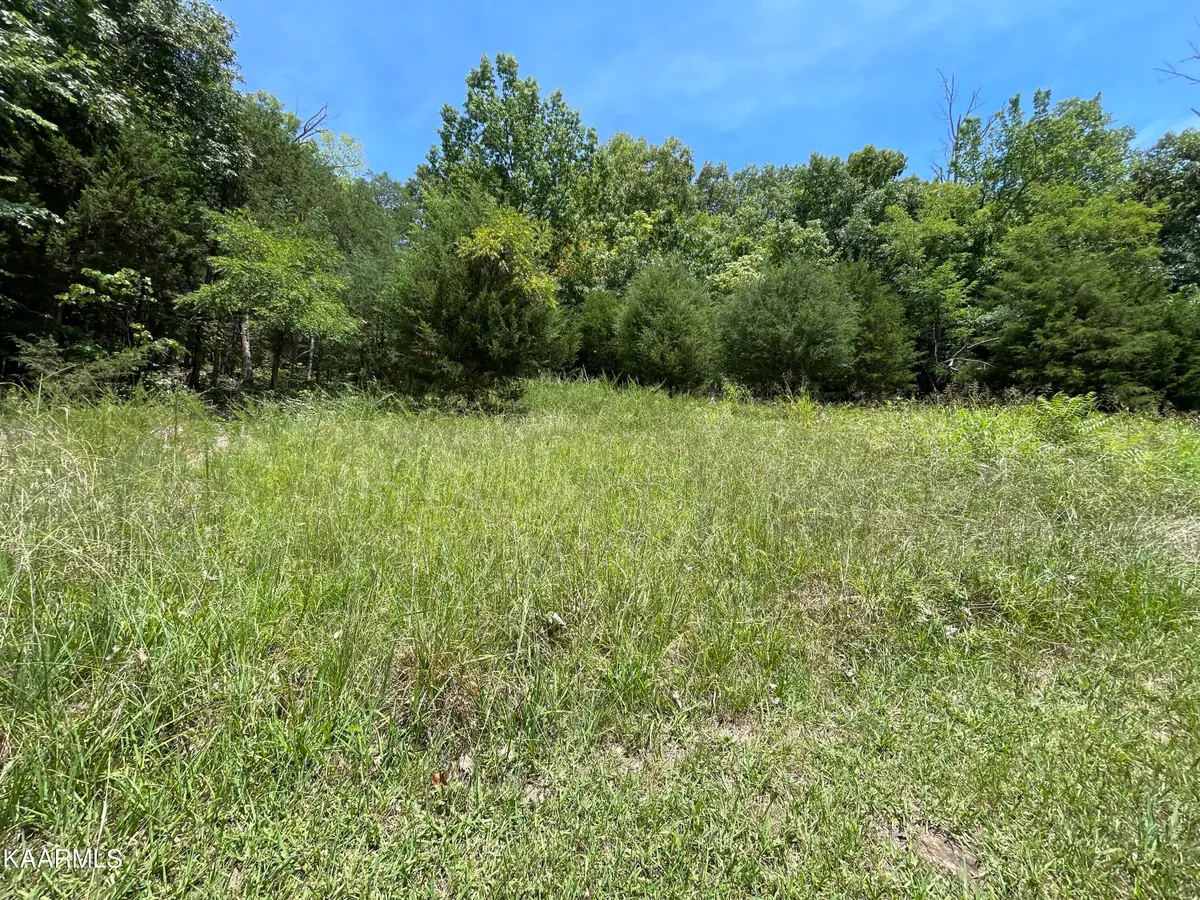 102 Lakeshore Way, Newport, TN 37821 - #1