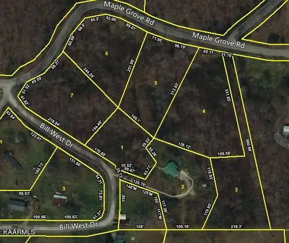 Lot 3 Maple Grove Rd, Ten Mile, TN 37880 - #3