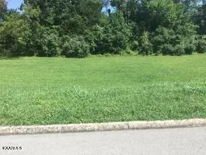 Lot 17 Danielle Court, Harrogate, TN 37752 - #2