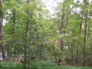 9304 Hondo Drive, Crossville, TN 38572 - Image #2