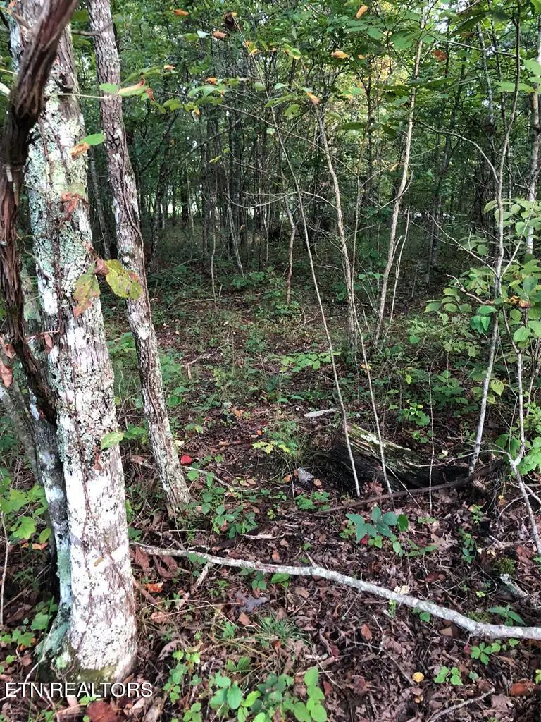 39 Luka Lane, Crossville, TN 38572 - Image #3