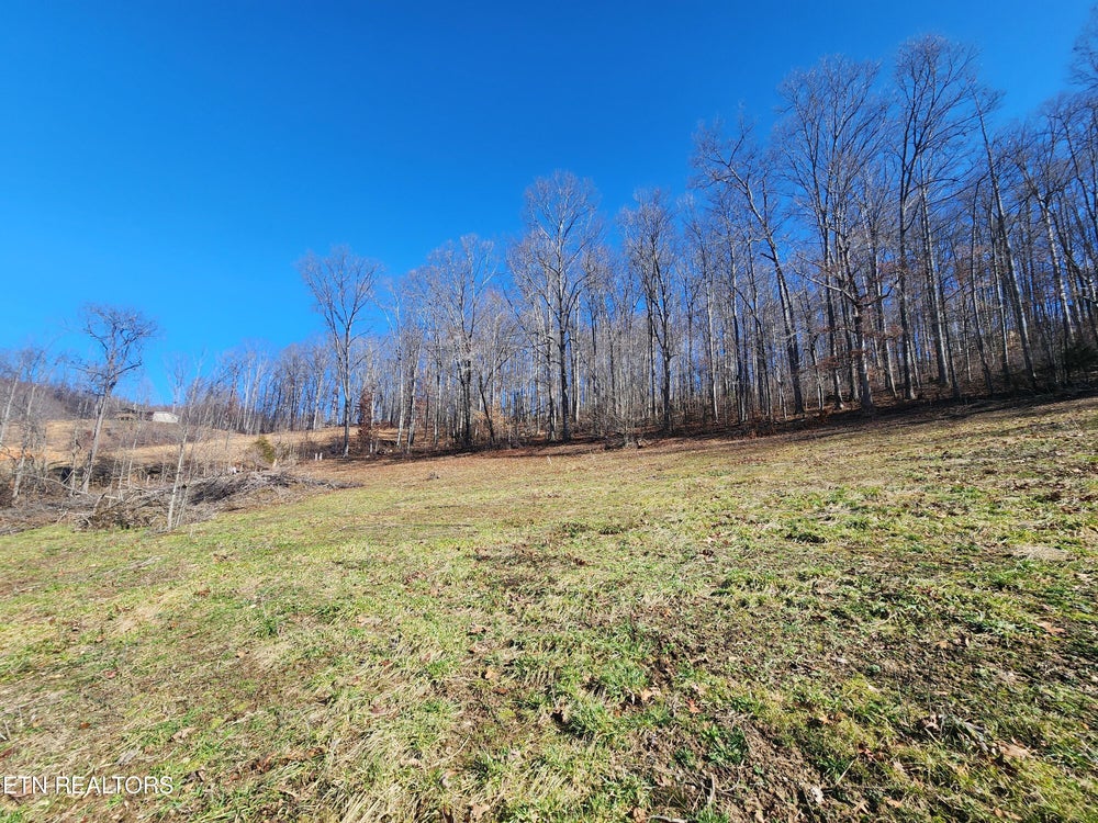 Tract 1 Dooley Hollow Rd, Ewing, VA 24248 BHGRE