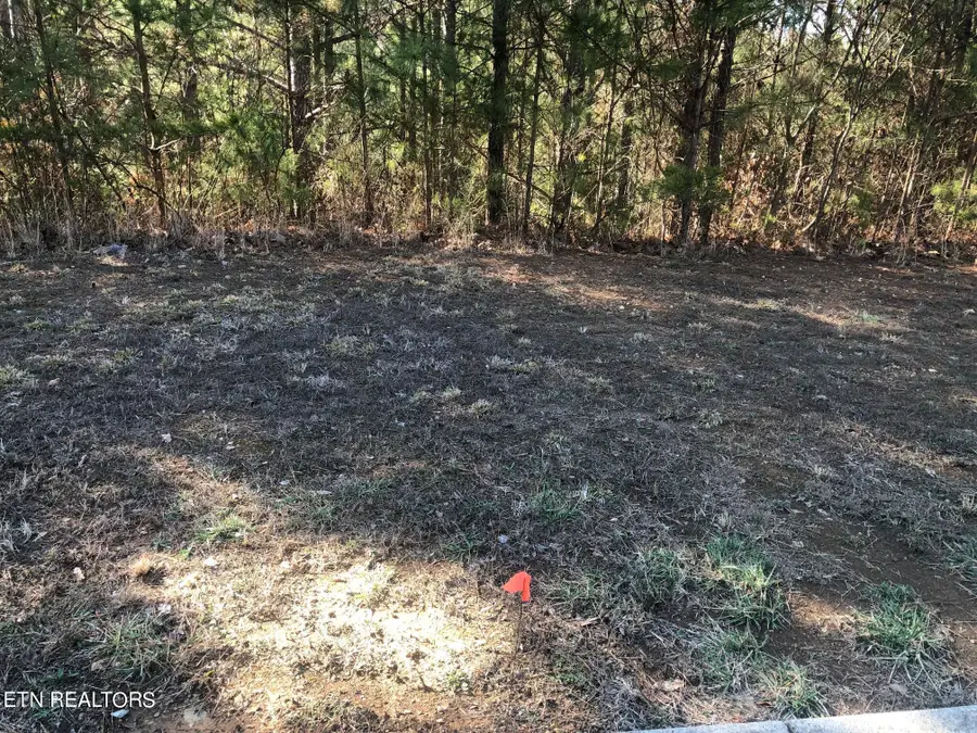 147 Cherokee Ridge Drive, Ocoee, TN 37361 - #3