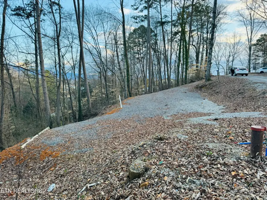 1538 Mayflower Lane, Dandridge, TN 37725 - Image #3