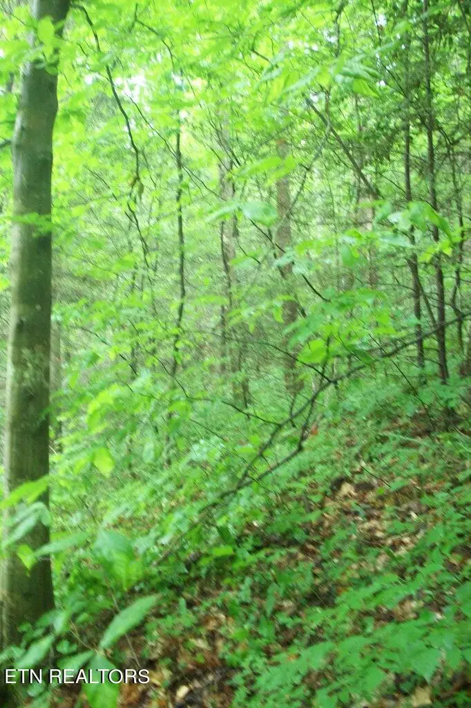 #3