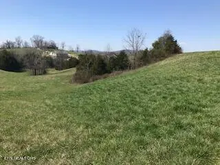 #3