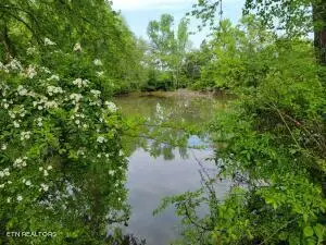 00 Scoggins Lane, Dayton, TN 37321 - #3