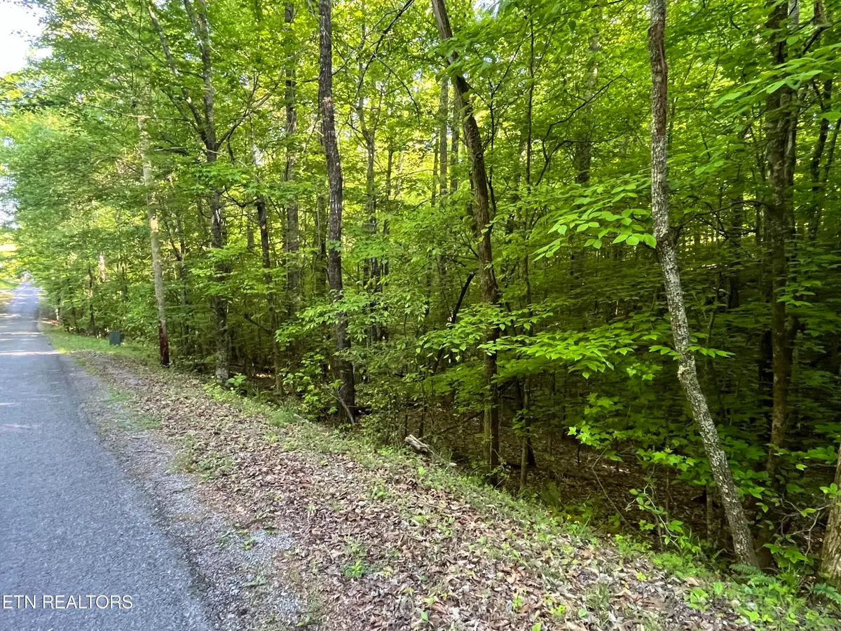 373-375 Beta Drive, Spring City, TN 37381 - #1