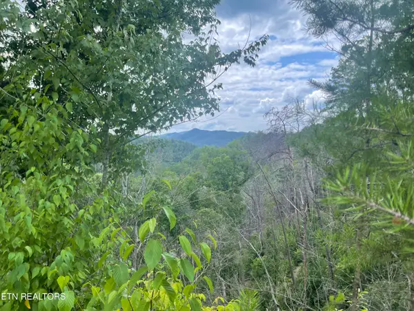 River Birch Way, Sevierville, TN 37862