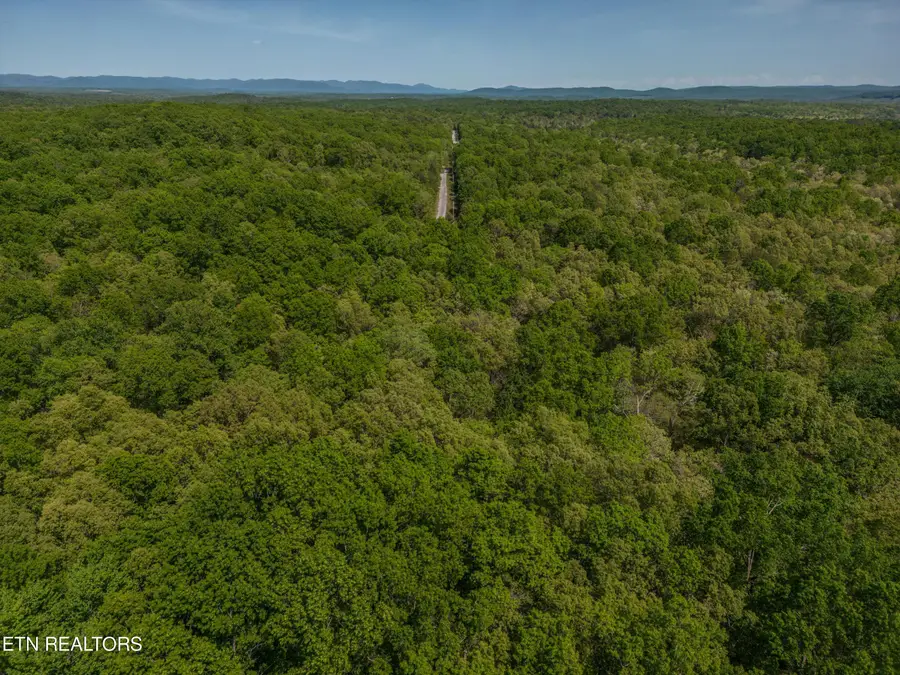 734 Eastridge Pass, Monterey, TN 38574 - Image #3