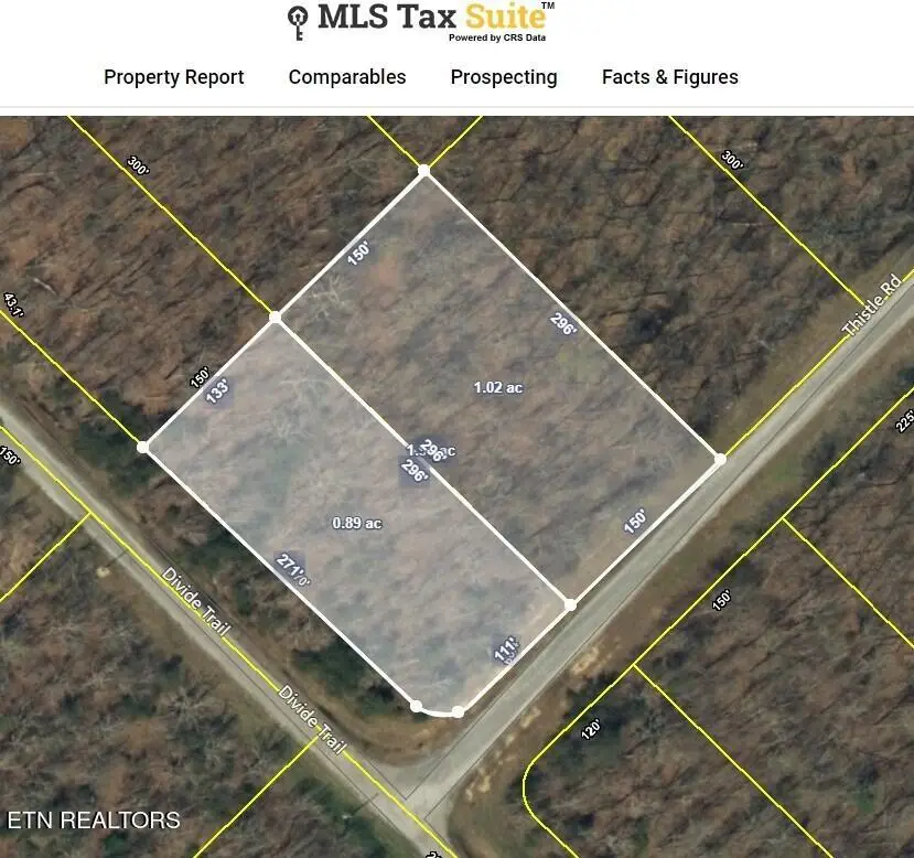 Thistle Rd. Lot 2 & 3, Monterey, TN 38574 - Image #1