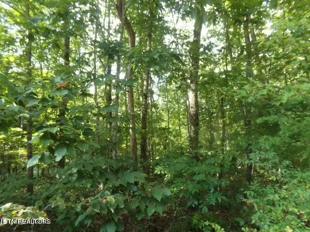 #2