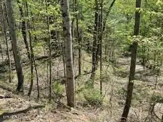 #3