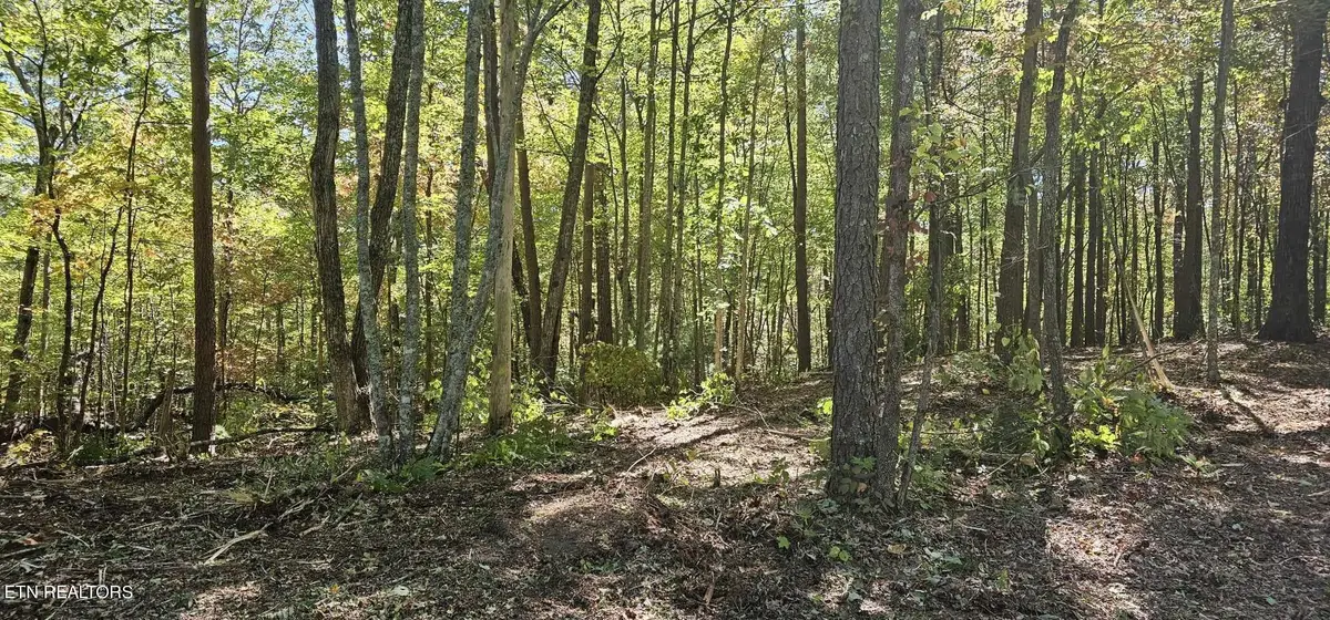 208 Old Furnace Rd, Tellico Plains, TN 37385 - Image #1