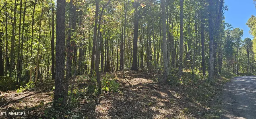 208 Old Furnace Rd, Tellico Plains, TN 37385 - Image #3