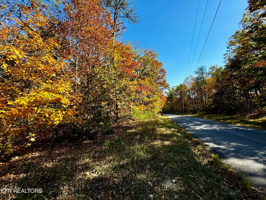 Lot 46 Honey Springs Rd, Crawford, TN 38554 - Image #2