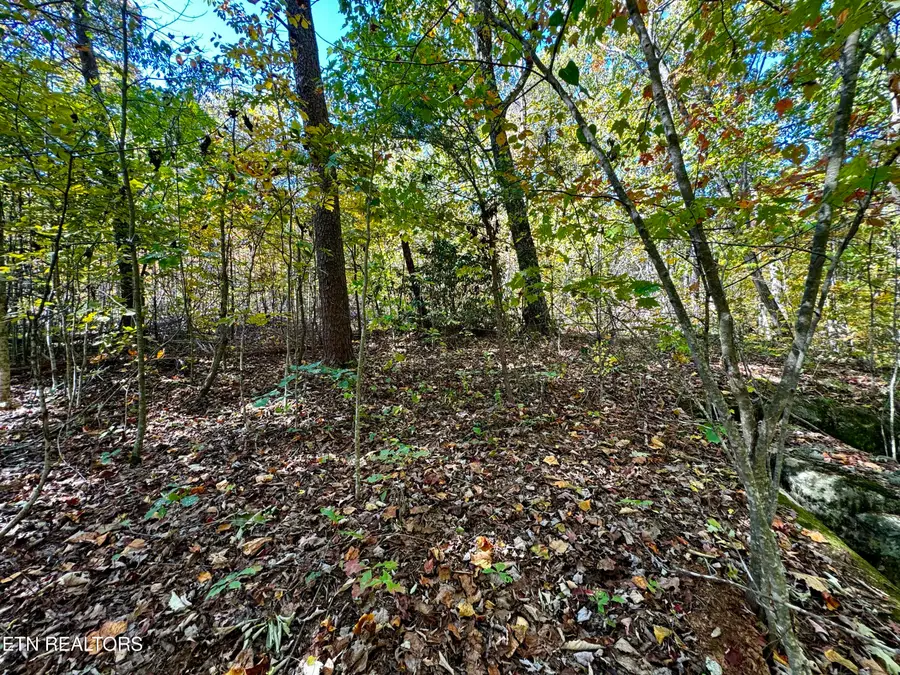 Lot 46 Honey Springs Rd, Crawford, TN 38554 - Image #3