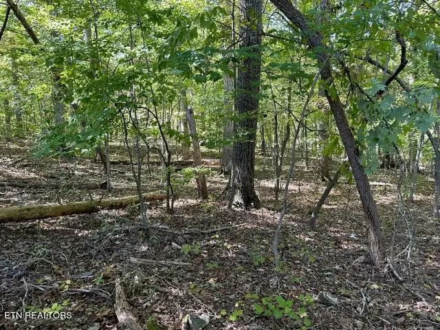 Lot 351 Diana Drive, Spring City, TN 37381 - Image #2