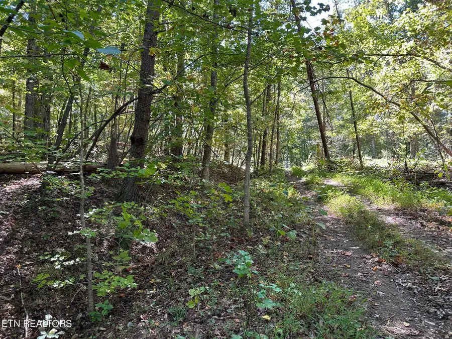 Lot 353 Diana Drive, Spring City, TN 37381 - Image #2