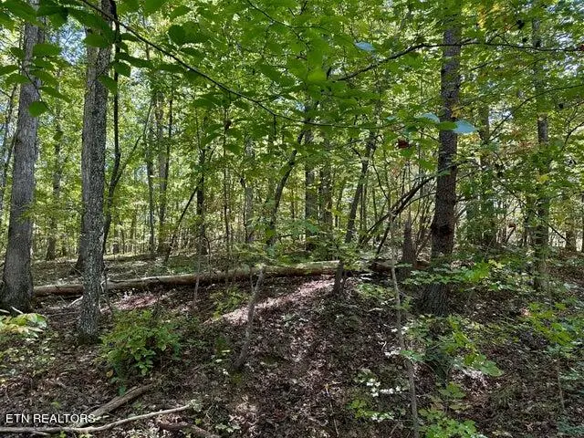 Lot 353 Diana Drive, Spring City, TN 37381 - Image #3