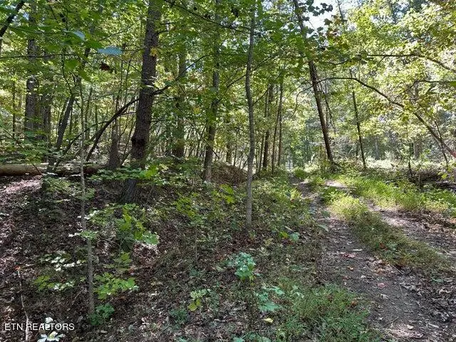 Lot 354 Diana Drive, Spring City, TN 37381 - Image #1