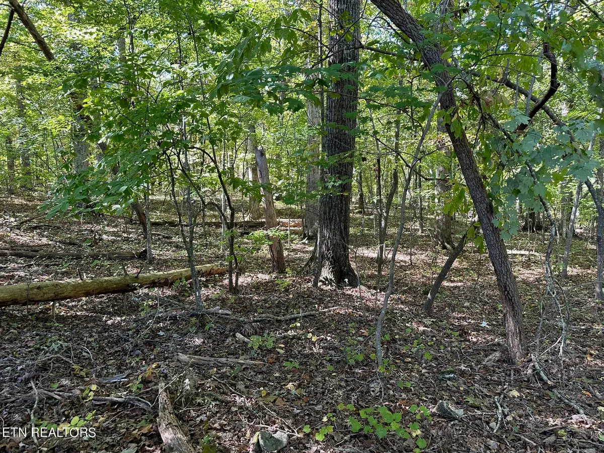 Lot 411 Smith Rd, Spring City, TN 37381 - Image #1