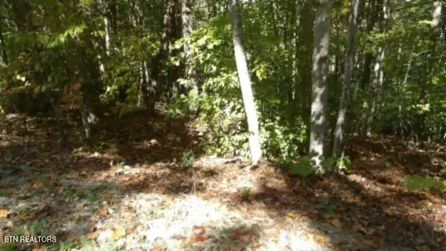 #3