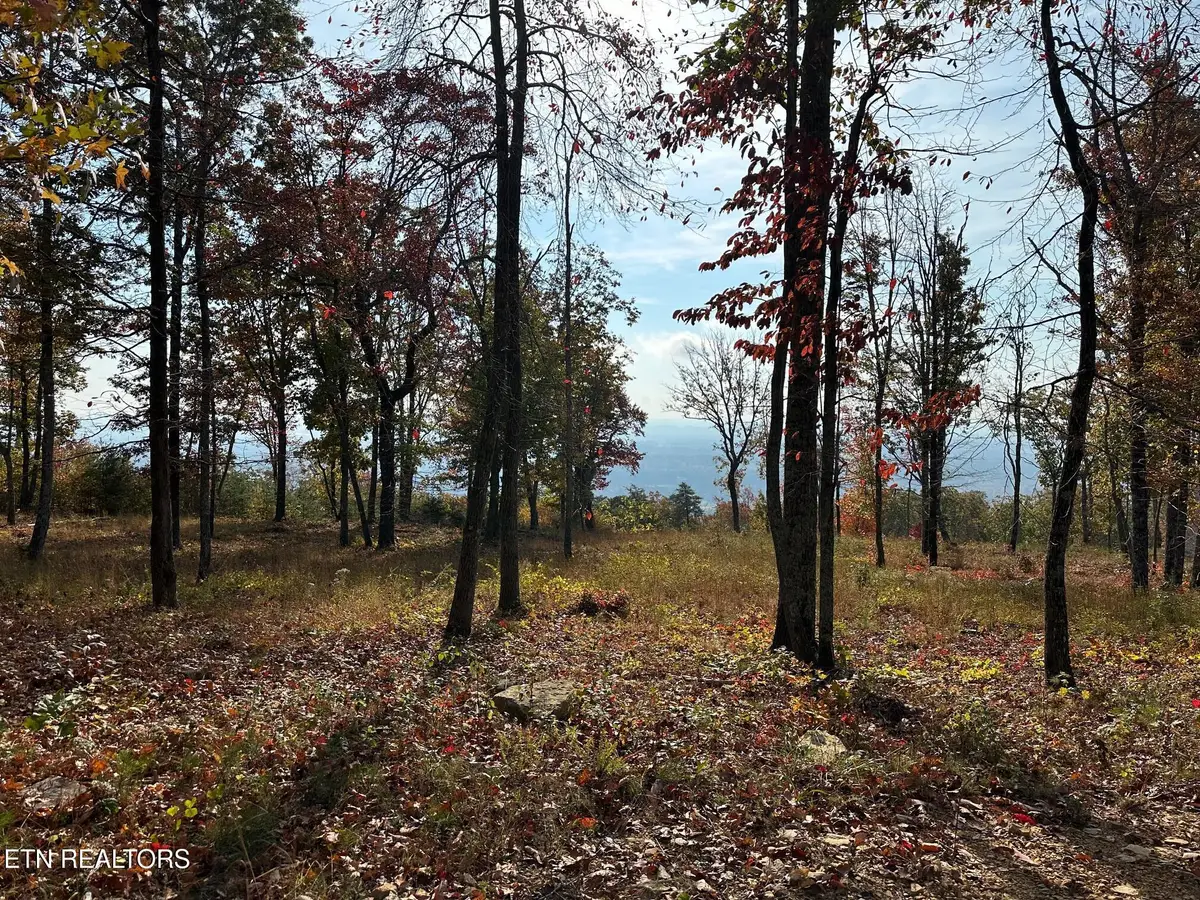 288 Duckwood Lane, Evensville, TN 37332 - #1