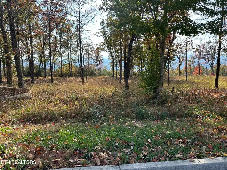 288 Duckwood Lane, Evensville, TN 37332 - #2