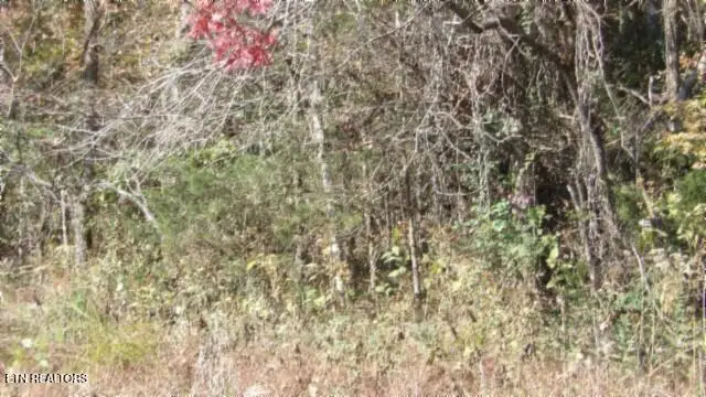 8.60ac Moss Arcot Rd, Celina, TN 38551 - Image #1